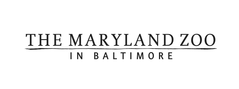 Maryland Zoo Logo